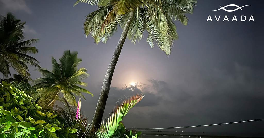 Buddha Purnima Full Moon 2