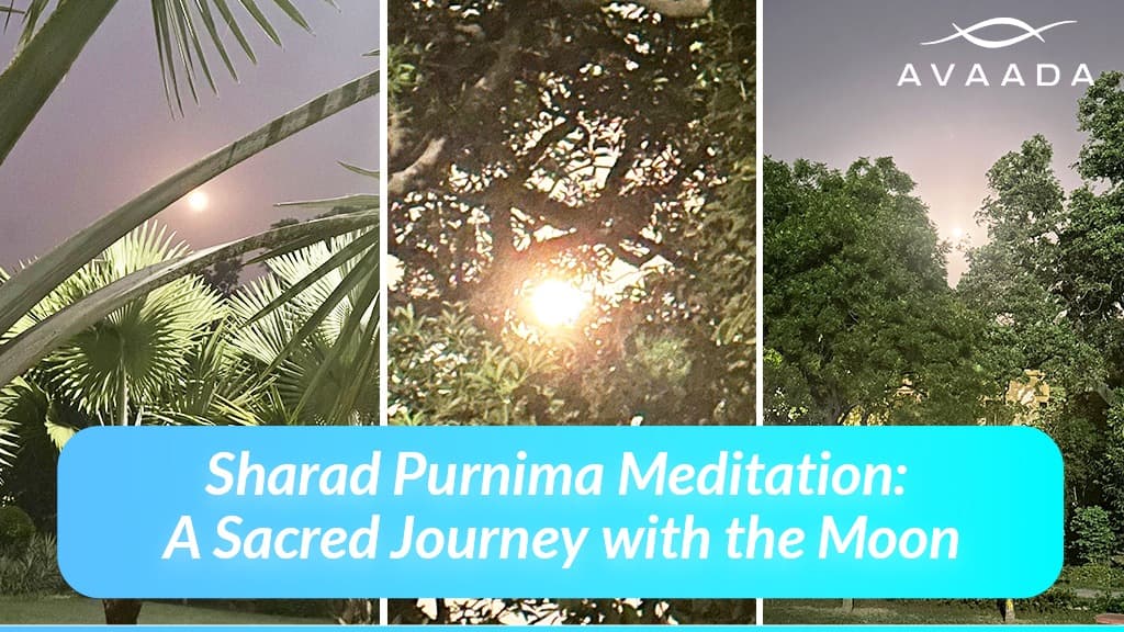 Moonlit scenes for Sharad Purnima meditation