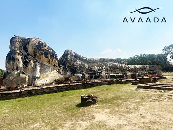 Celebrating the Festival