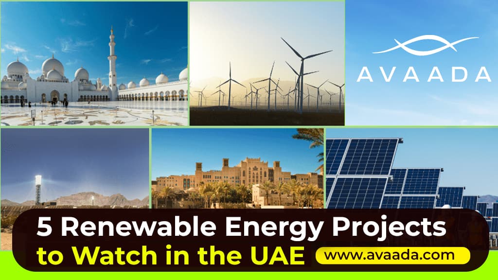 renewable energy projects in uae